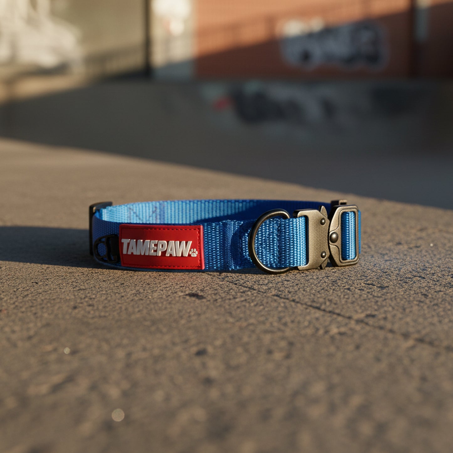 Airform Dog Collar - Blue Edition 001