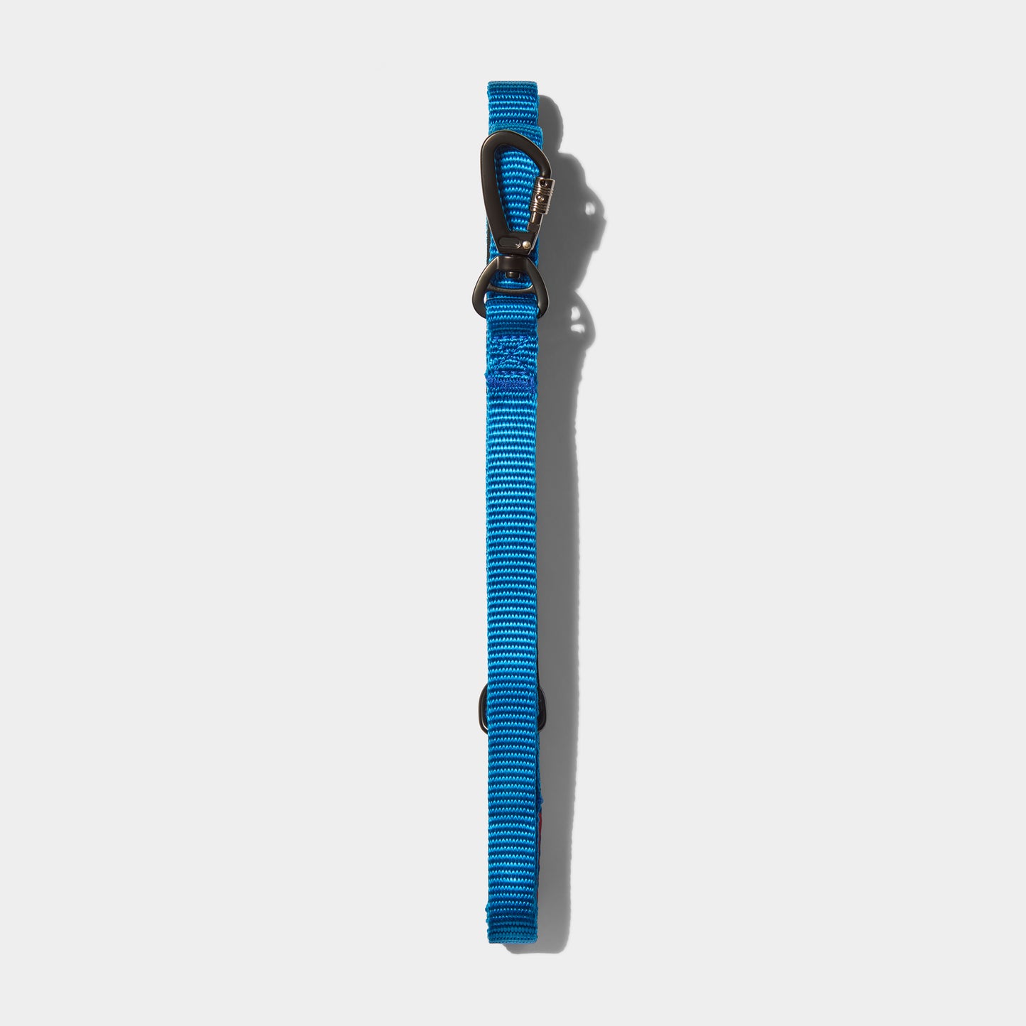 Airform Dog Lead - Blue Edition 001: Comfortable & Secure