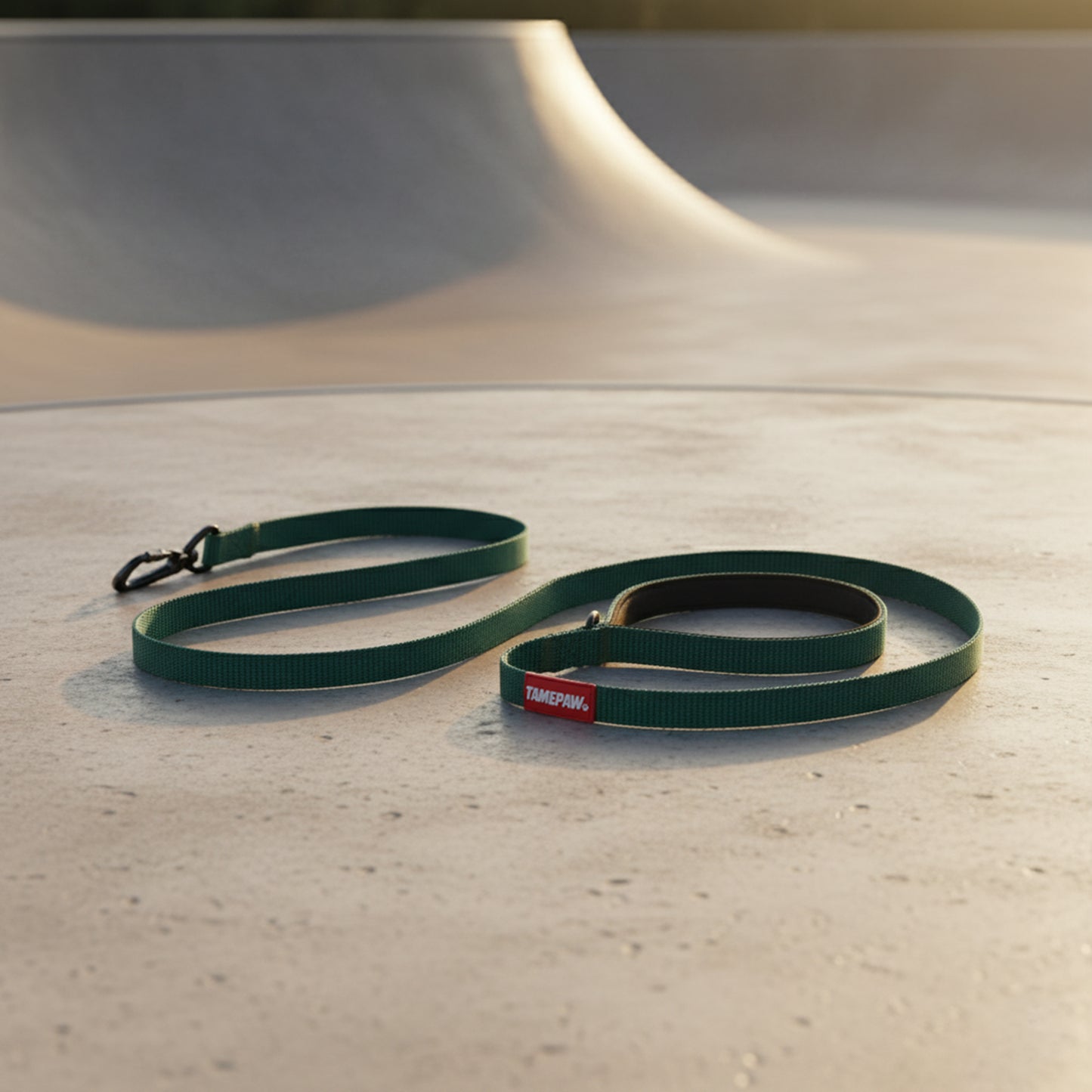 Airform Dog Lead - Green Edition 001