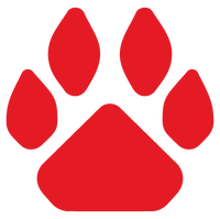 Free UK shipping over £70