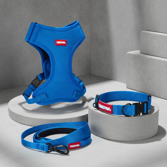 Tamepaw Airform Dog Walking Set - Blue Edition 001