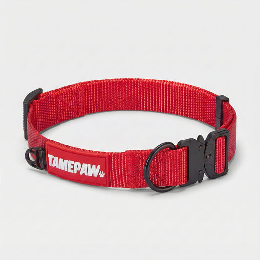 Airform Dog Collar - Red Edition 001: Bold & Secure