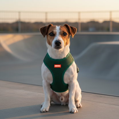 Airform Dog Harness - Green Edition 001