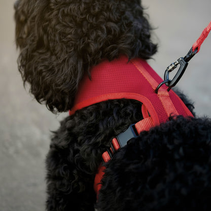 Airform Dog Harness - Red Edition 001