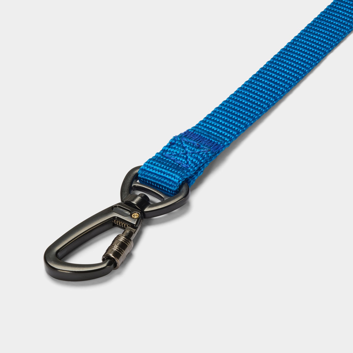 Blue Tamepaw dog lead with black metal clip on a light grey background