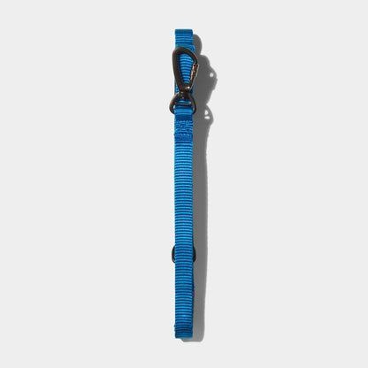 Airform Dog Lead - Blue Edition 001: Comfortable & Secure