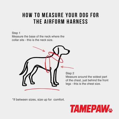 Airform Dog Harness - Red Edition 001