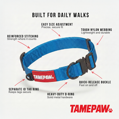 Airform Dog Collar - Blue Edition 001: Soft & Secure