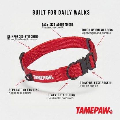 Airform Dog Collar - Red Edition 001: Bold & Secure