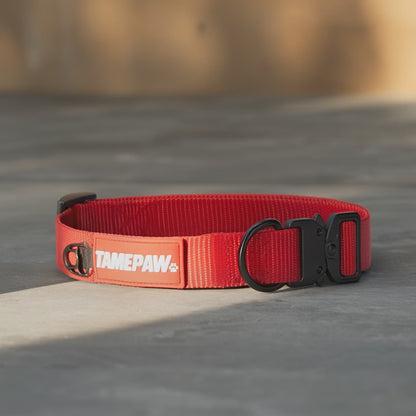 Airform Dog Collar - Red Edition 001